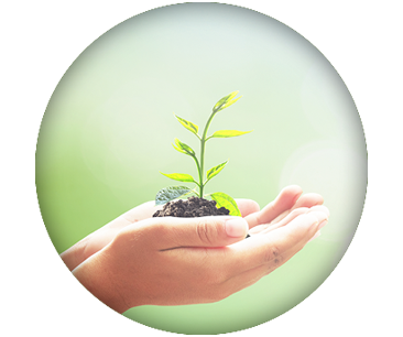 ΠΕΡΙΒΑΛΛΟΝΤΙΚΗ ΕΥΘΥΝΗ